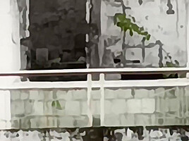 Escaped Stepdaughter Found In Abandoned Cinema Luxury Room And Used Situation And Fucked Her Hard